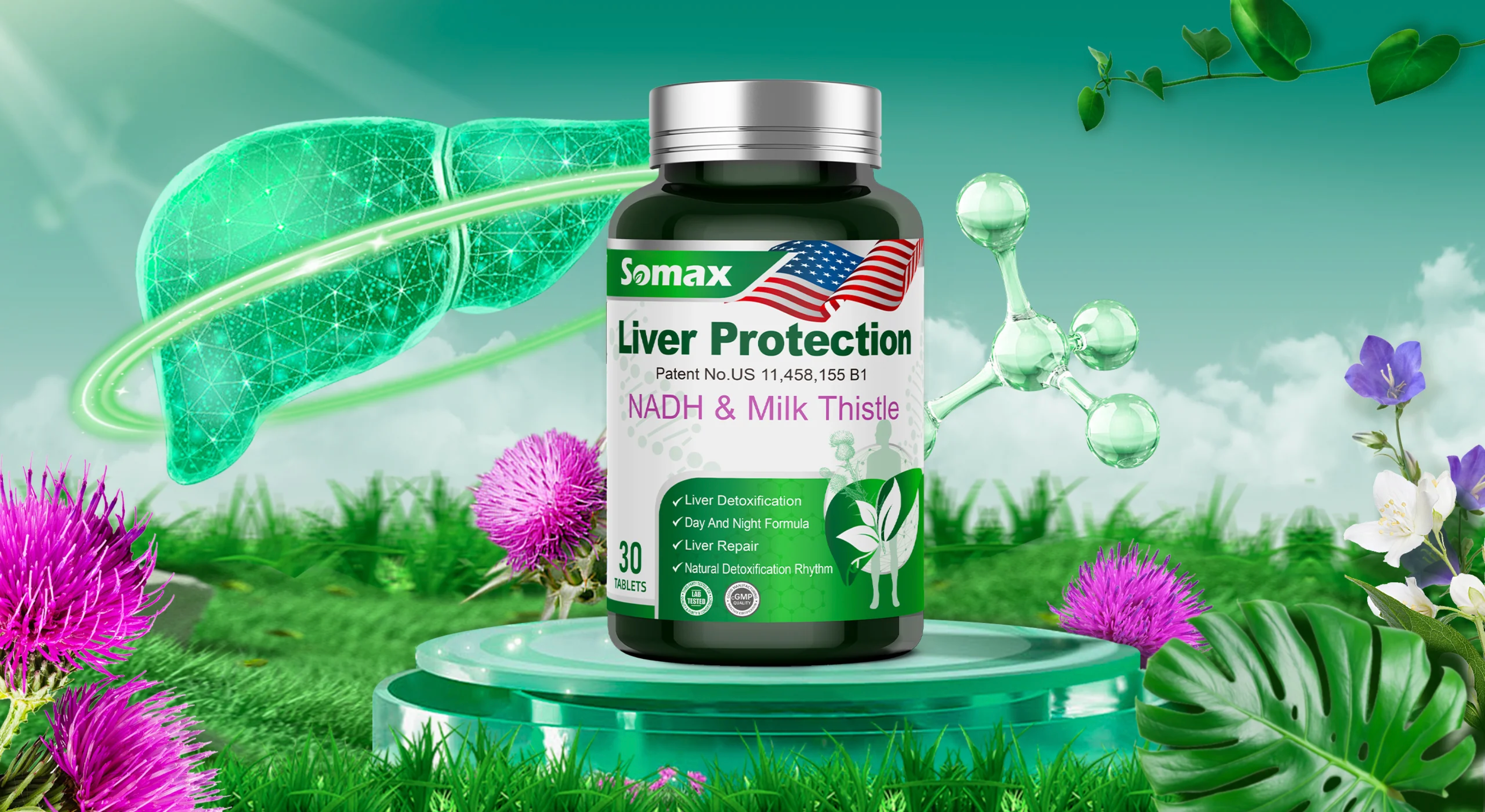 PureNutraHubs six product lines covering comprehensive health needs